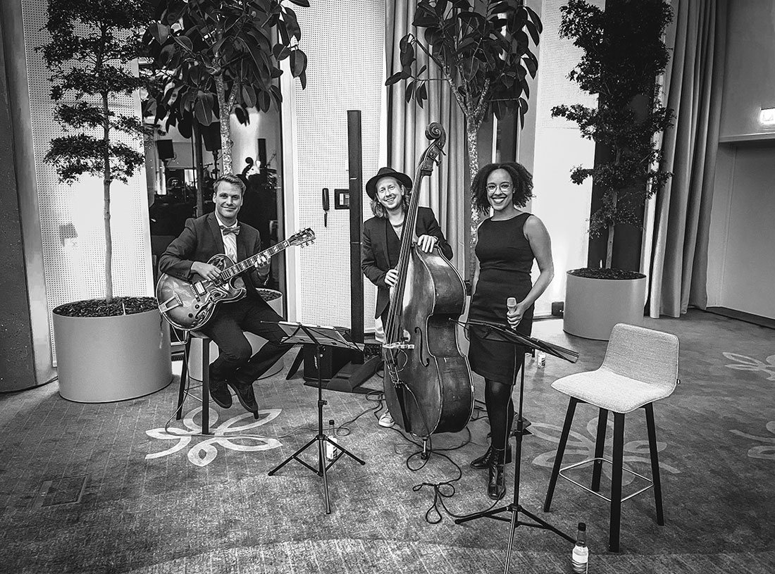 musik live trio jazz bossa nova booking talent danske musikere til fester