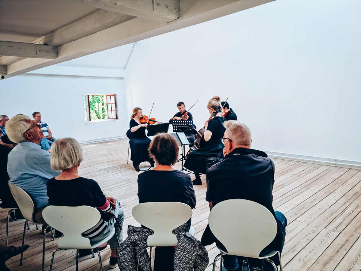 klassisk koncert violin bratsch viola cello dansk klassisk musik filmmusik klassiske musikere klassisk koncert performance bibliotek kulturhus
