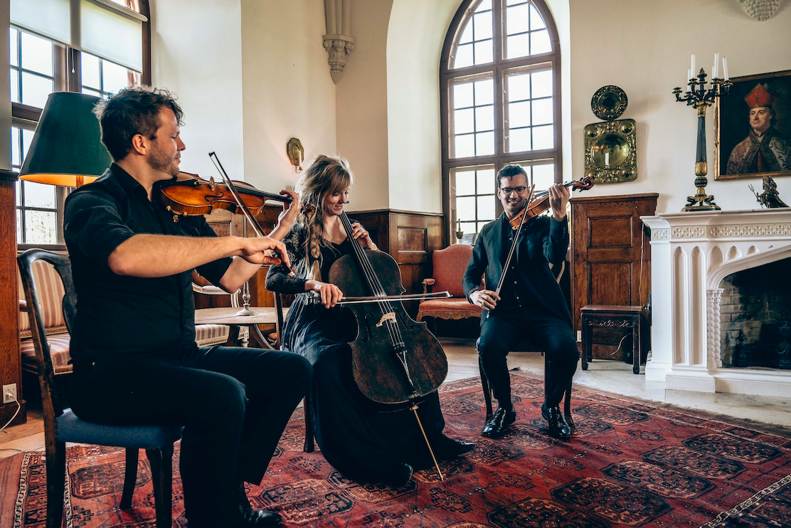 classical music violin gjorslev estate cello violinist estate live music reception during dinner concert classical music air mozart danish booking booking agency