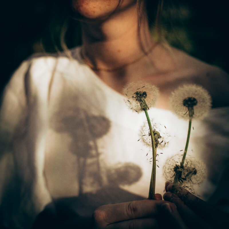 confirmation bouquet dandelions white dress dandelion confirmand music event flowers party book musician book band for confirmation