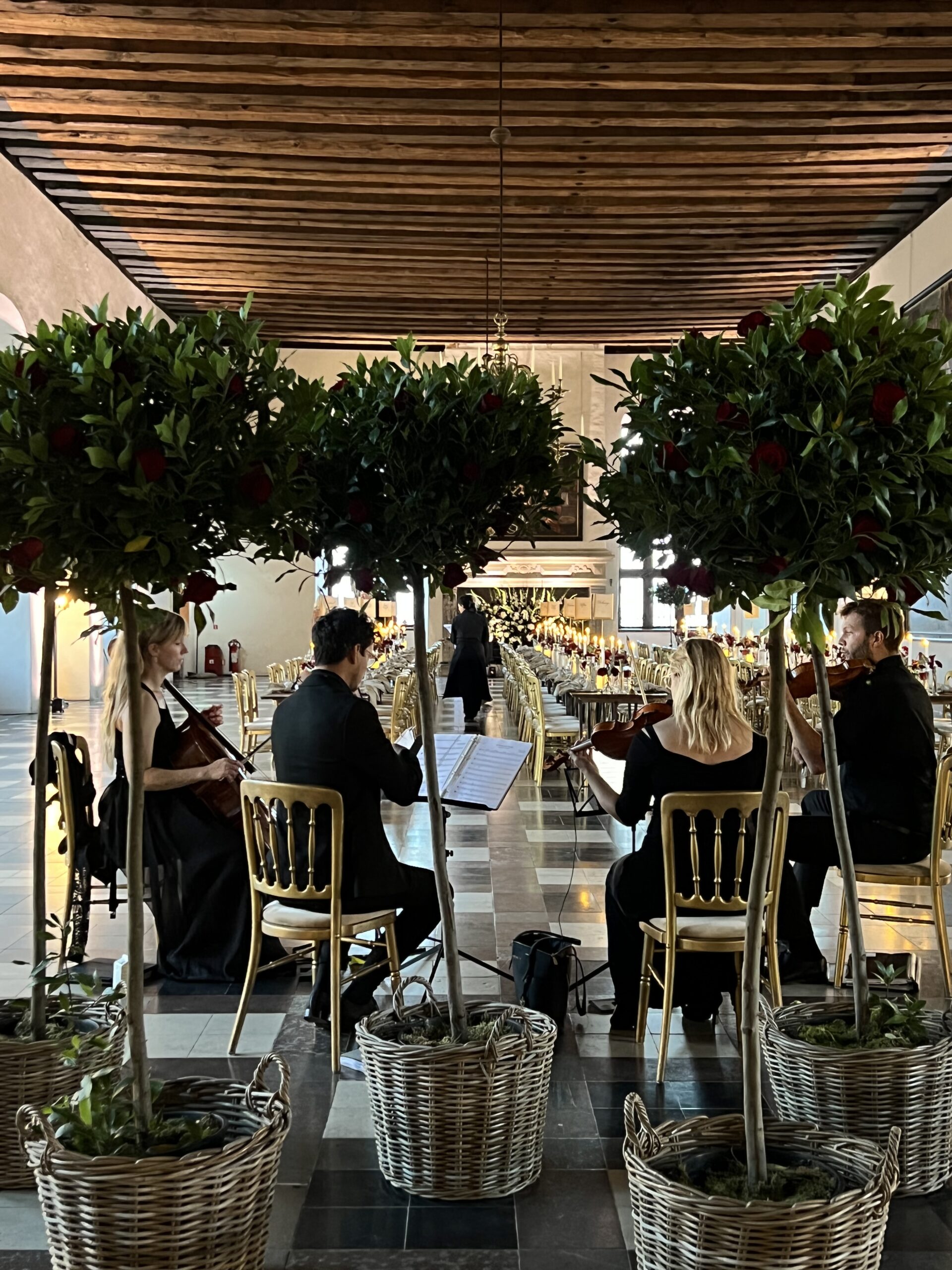 Music for fashion shows - Limunt | Live music for catwalk at Limunt