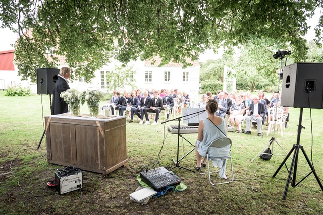 Solomusiker opptrer i bryllup - Limunt