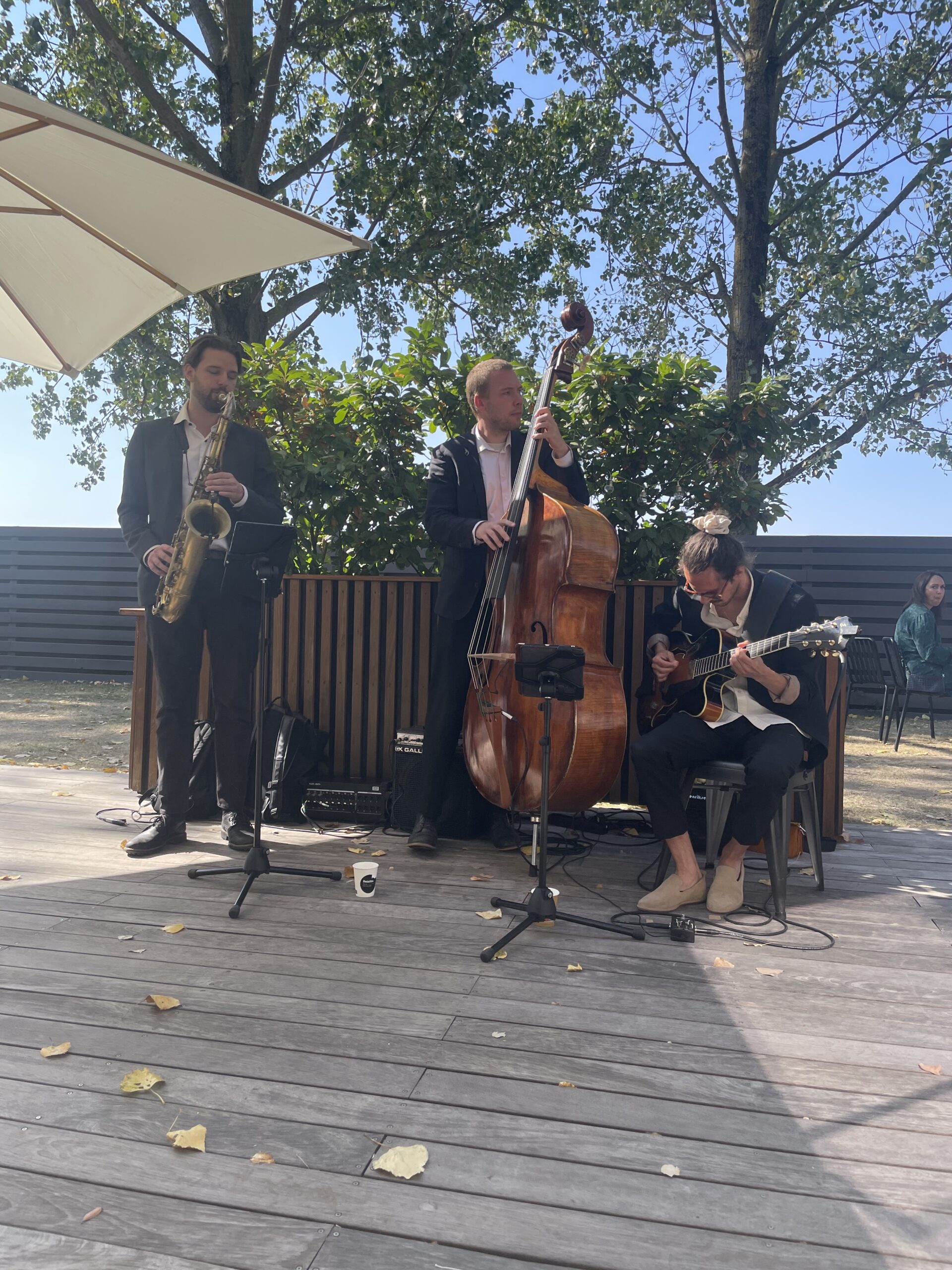 Live-musikere underholder på bryllupsfesten.